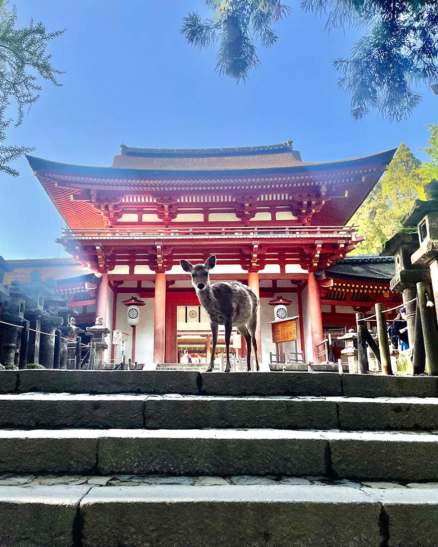 Kasugataisha Shrine