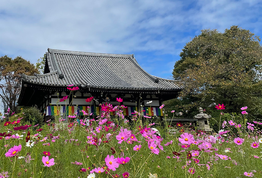 Hannyaji Temple