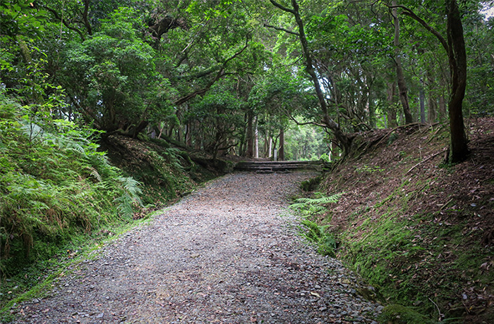 Sasayakino-Komichi Path