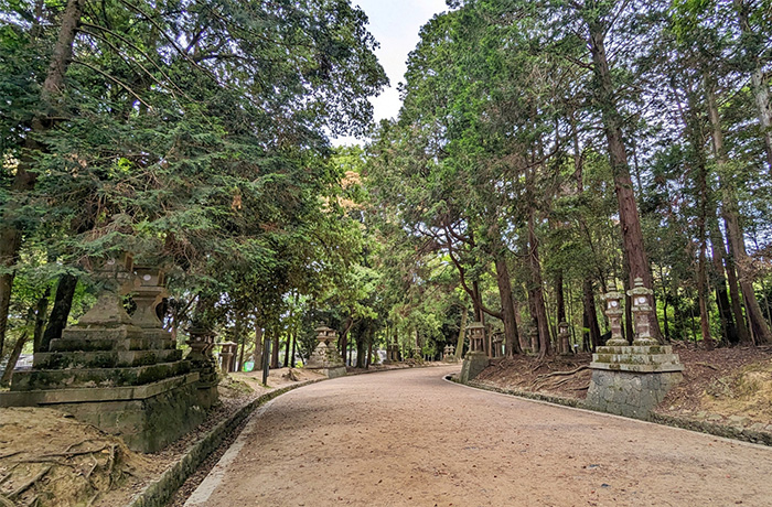 春日大社参道